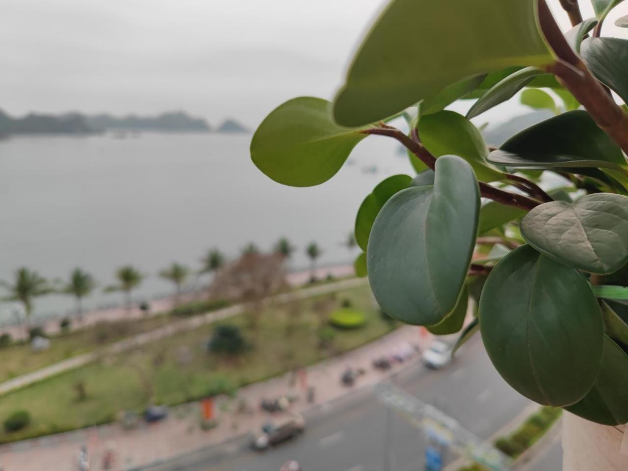 Star Hotel Cat Ba Island Екстер'єр фото
